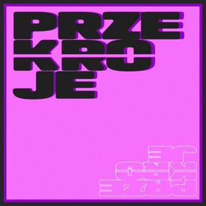 przekroje