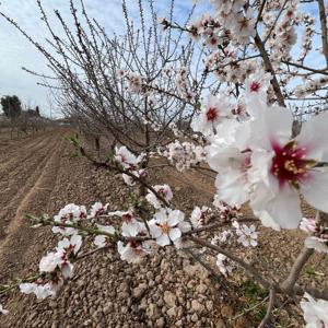 Alíen Atención Educativa