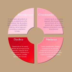 Ciclo de vida de un producto📊