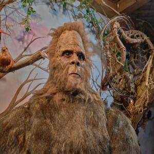 The Search for Bigfoot - A Talk Show