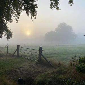 De PodStal