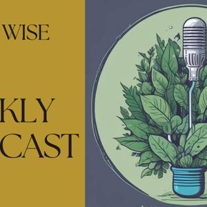 Dotty Wise's Podcast