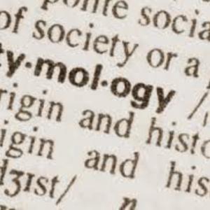 Verbal Voyage: ChatGPT Unravels Word Origins