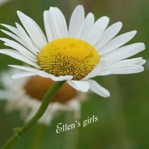 Ellen's Girls