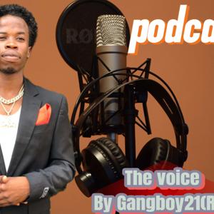 Johnrichgangboy podcast ( the voice )