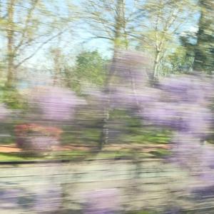 Weekly podcast with A.B.A