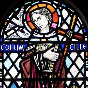 Homilies of Fr David McCready