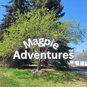 Magpie Adventures