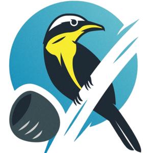 Vadiar Radio - Podcast sobre Capoeira en Español