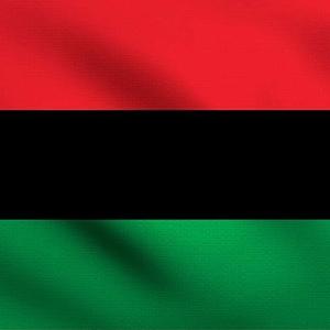 Papa Robbie's Music Palace -Special Edition