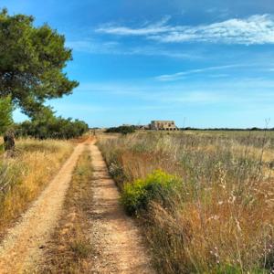 Alimenti tipici dal Salento