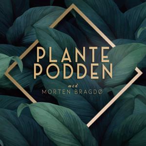 Plantepodden by Pikant Media