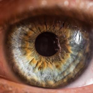 אינטואיציה למתקדמים