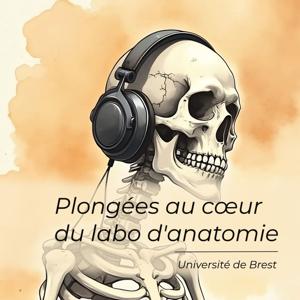 Plongées au cœur du labo d'anatomie