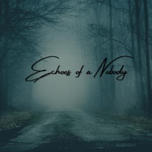 Echoes of a Nobody