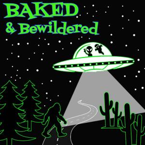 Baked and Bewildered