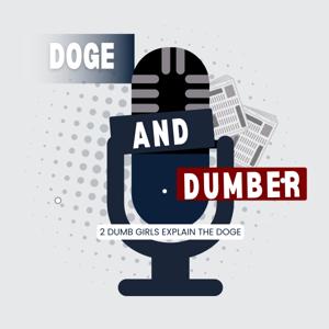 DOGE and Dumber