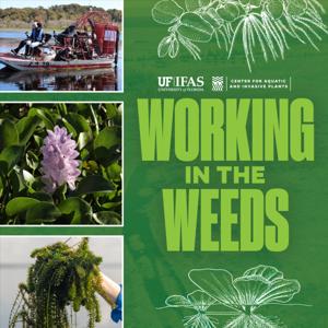 Working In The Weeds