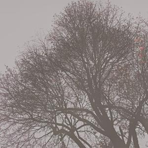 Bored In My Dorm Room