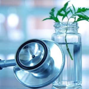 Medicina y Naturaleza: El encuentro