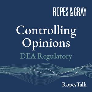 Controlling Opinions