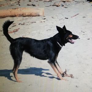 IL PODCAST DI ROBIN HOOD