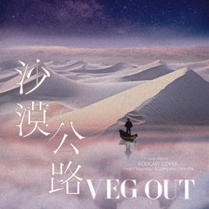 沙漠公路VEG OUT