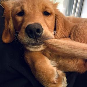 The Clover Show Part 2