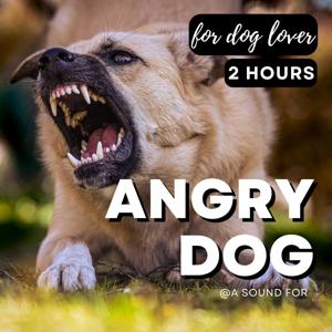 Dogs! (barking, howling, whining, growling, ecc...)