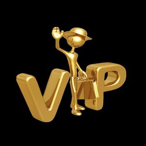 V.I.P. SECTION