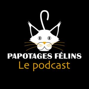 Papotages félins