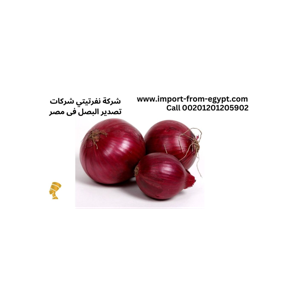 exporting high-quality vegetables and fruits
