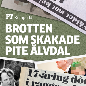 Brotten som skakade Pite älvdal