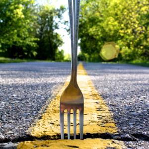 The Fork in the Road