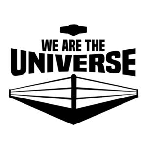 We Are The Universe