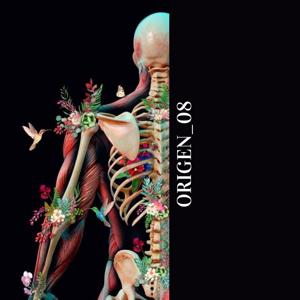 NUESTRO CUERPO, UNA MÁQUINA PERFECTA