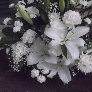 NewPursuit's Podcast