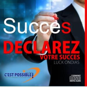 C'est Possible ! Les chroniques de Luck Ondias Souna