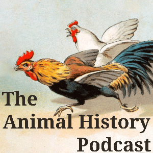 Animal History Podcast