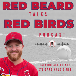 Red Beard Talks Red Birds