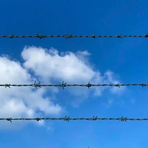 La bambina delle arance