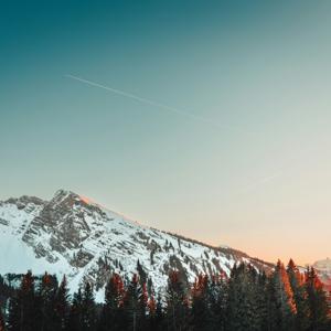 Población y muestra