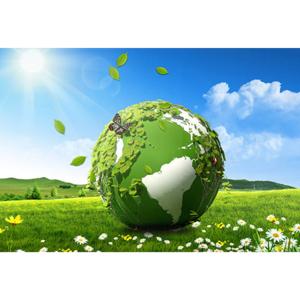 🌍 EcoTalks: Conversations for a Greener Future