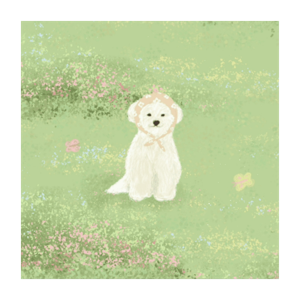 龍華國中資優班英文寒假作業許娟華podcast