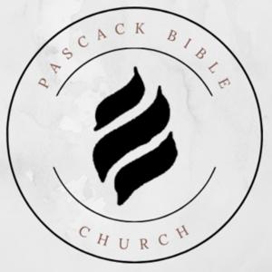 David - The Gospel According to David