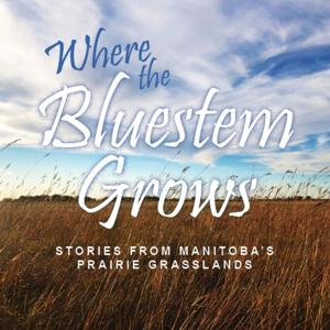 Where the Bluestem Grows