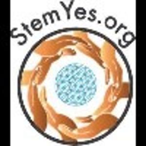 STEMyes
