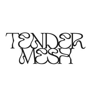 TENDERMESH ARTIST INTERVIEWS