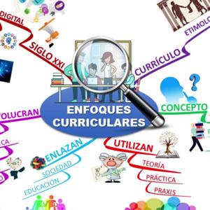 reflexion de los enfoques curriculares