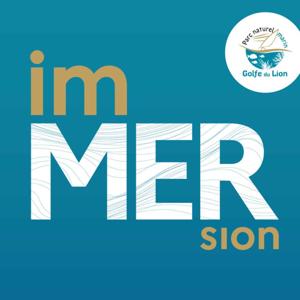 imMERsion